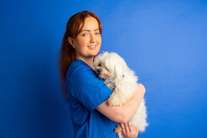 Photo in Sitter's gallery