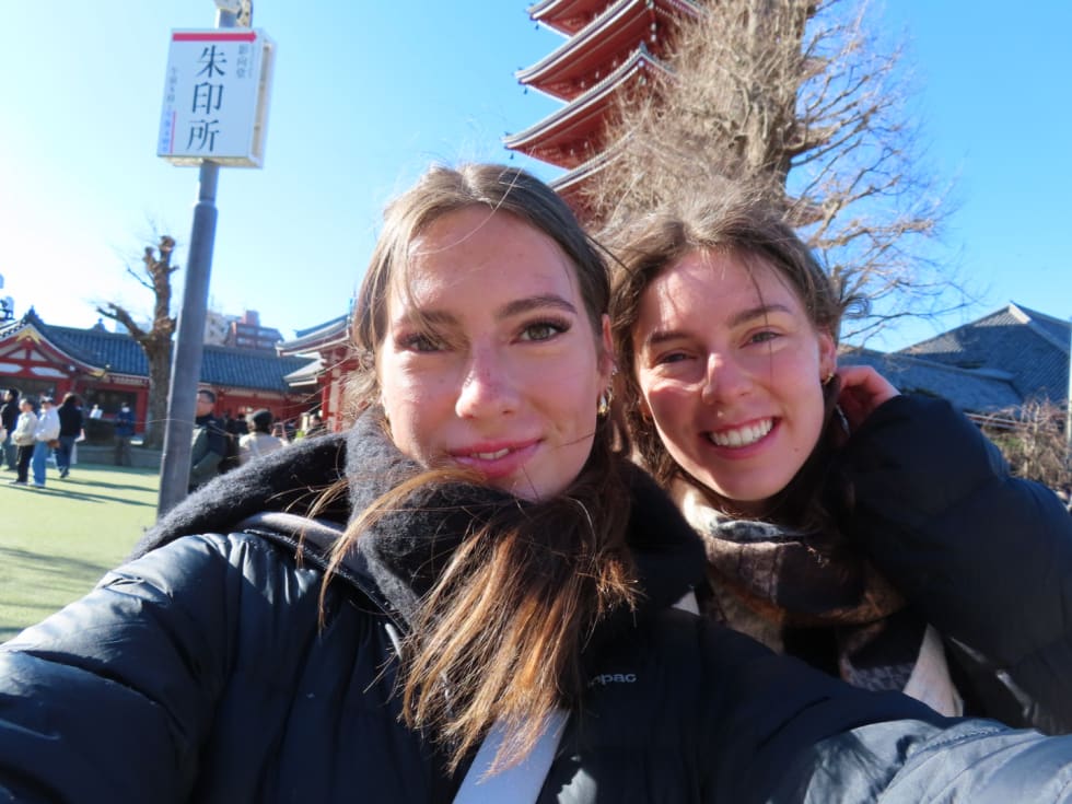 Photo in Sitter's gallery