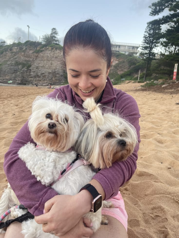 Photo in Sitter's gallery