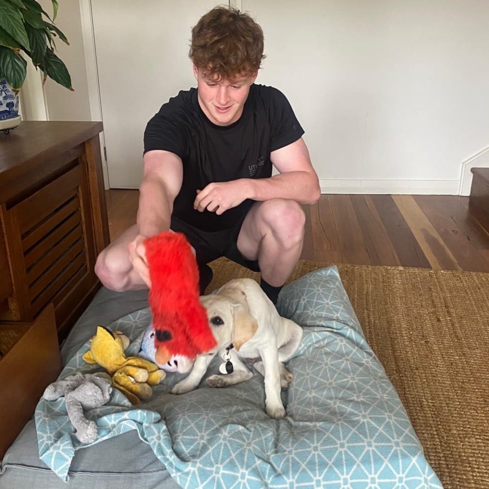 Photo in Sitter's gallery