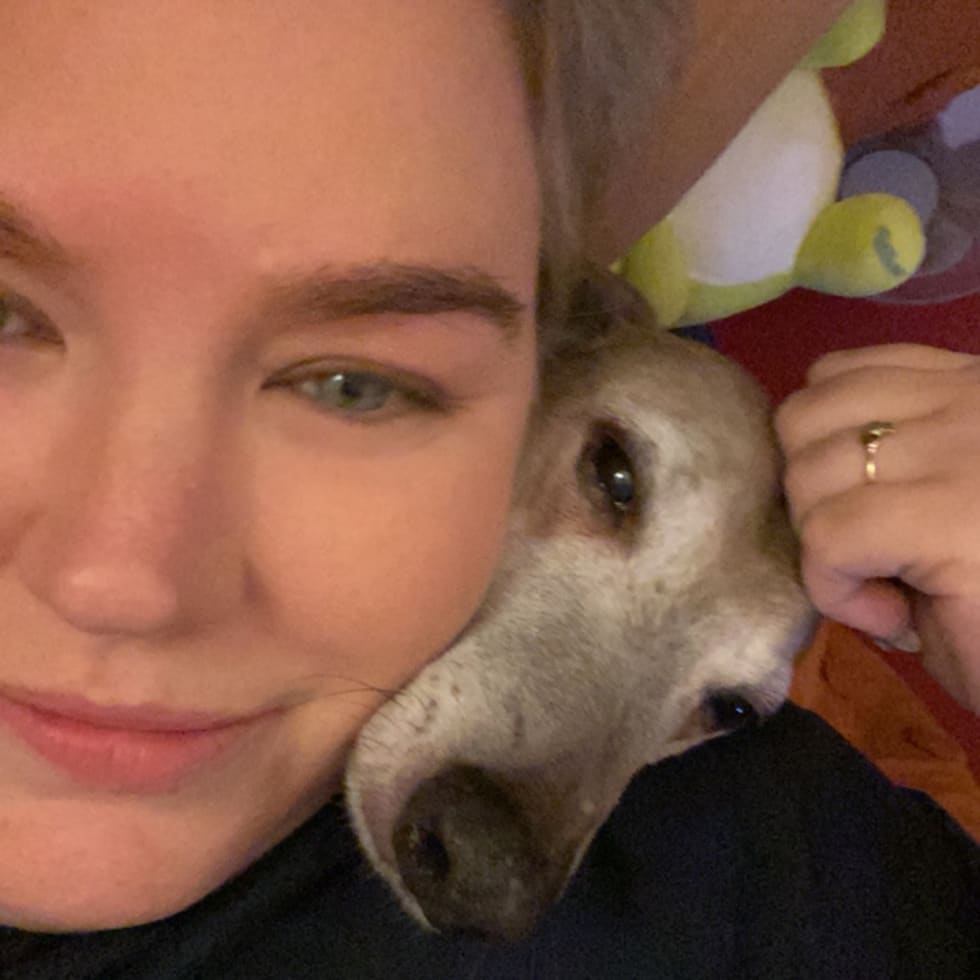 Photo in Sitter's gallery