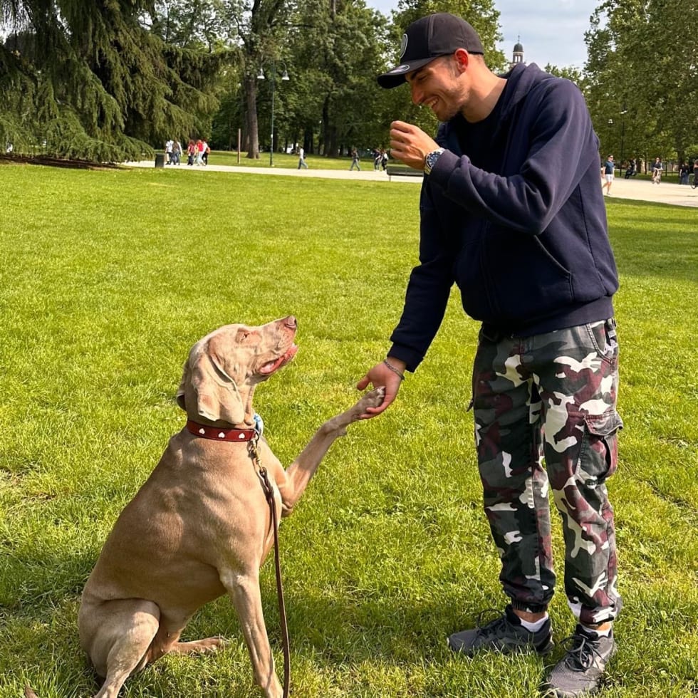 Photo in Sitter's gallery