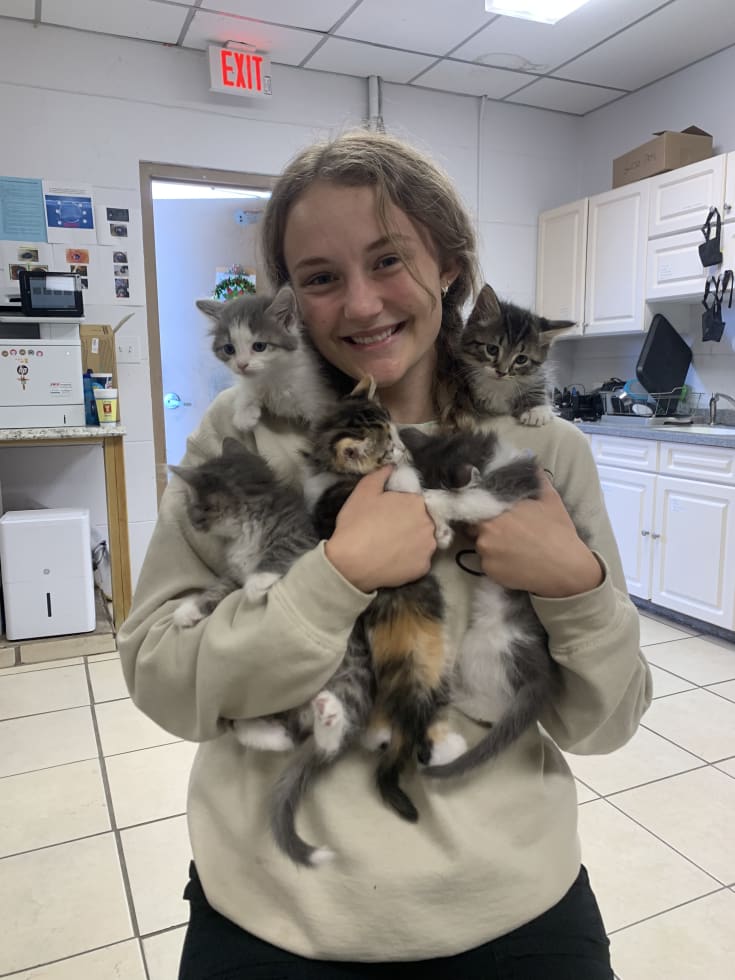 Photo in Sitter's gallery