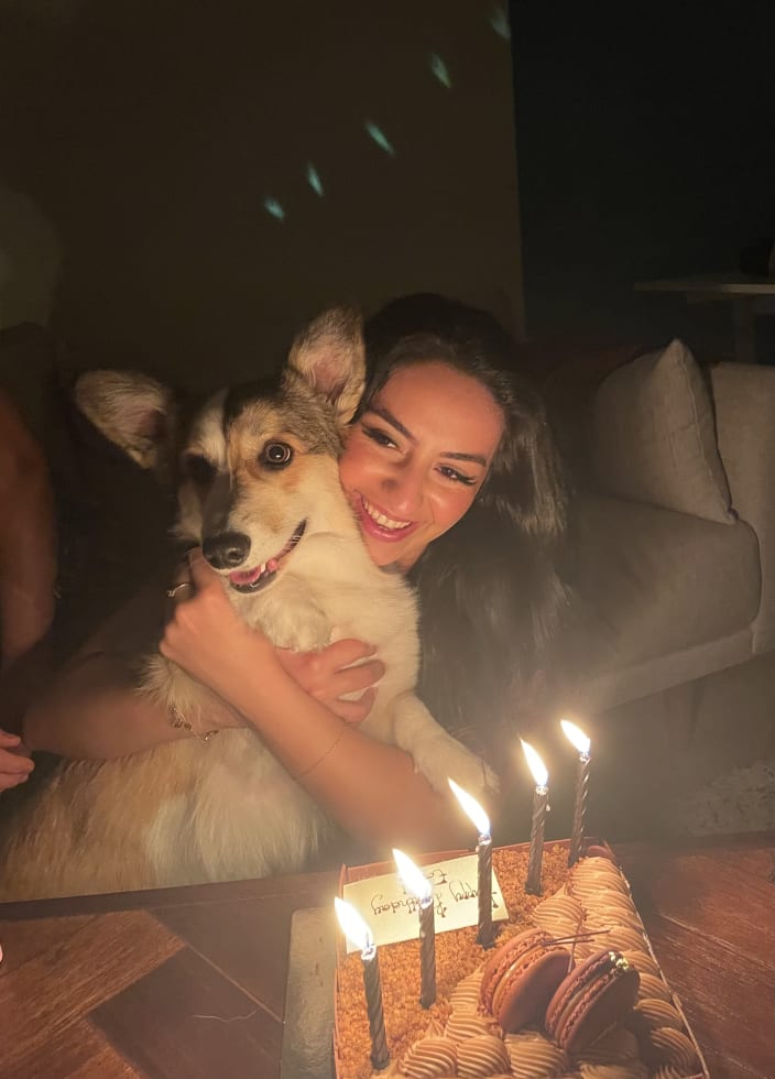 Photo in Sitter's gallery