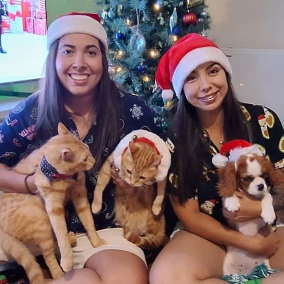 Photo in Sitter's gallery