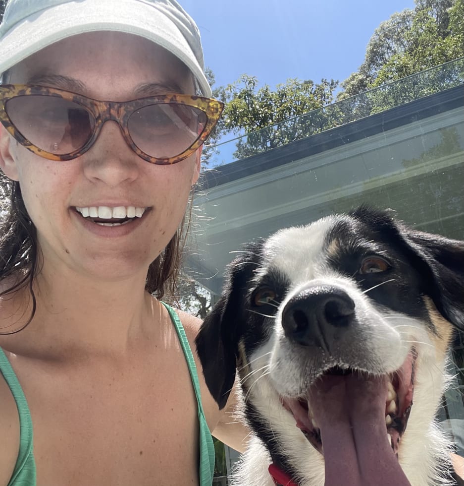 Photo in Sitter's gallery