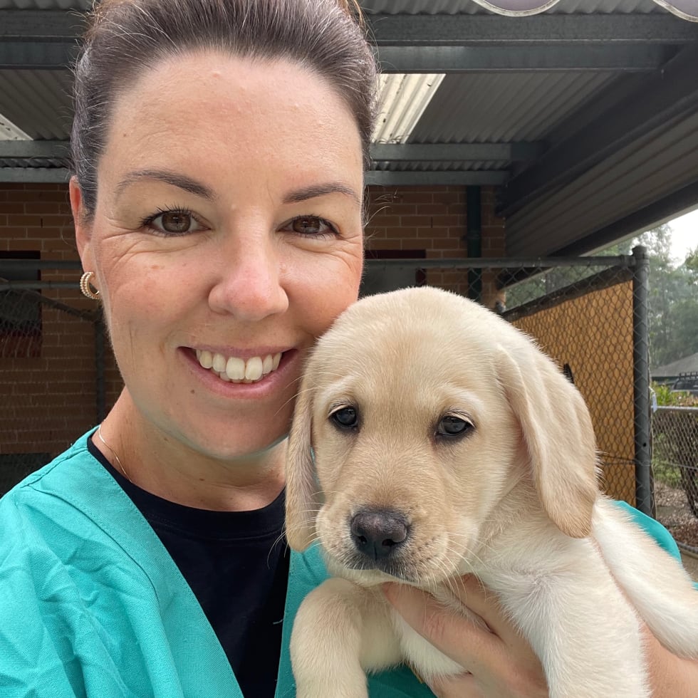 Photo in Sitter's gallery