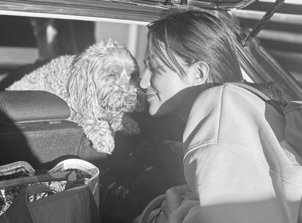 Photo in Sitter's gallery