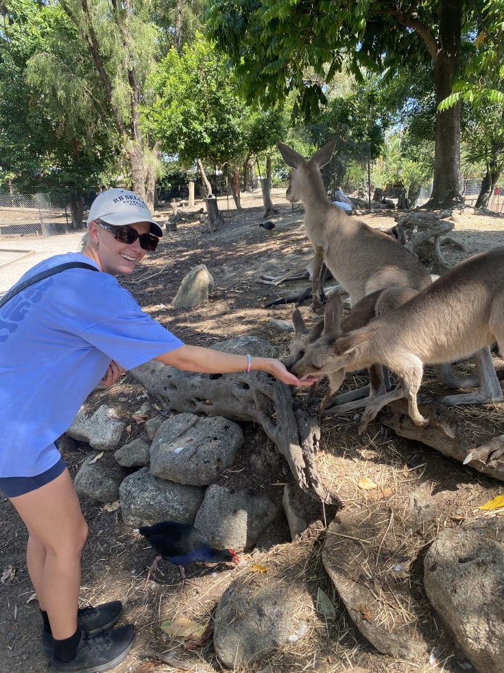 Photo in Sitter's gallery