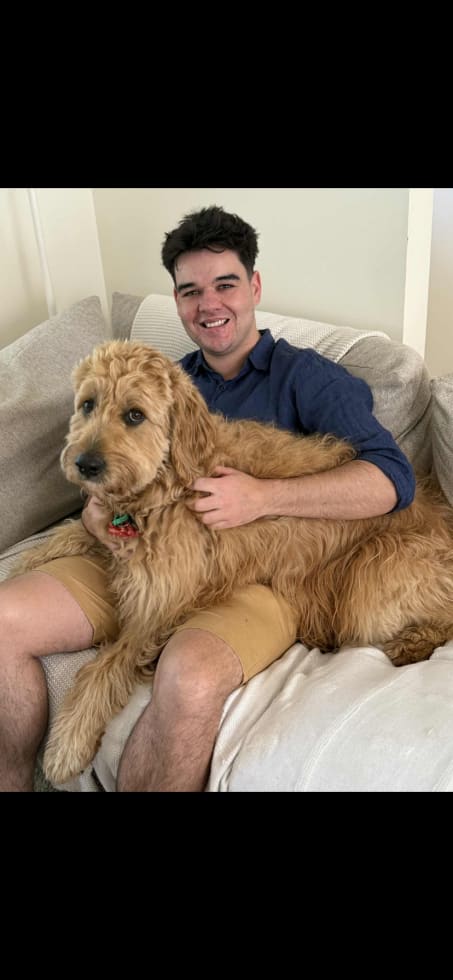 Photo in Sitter's gallery