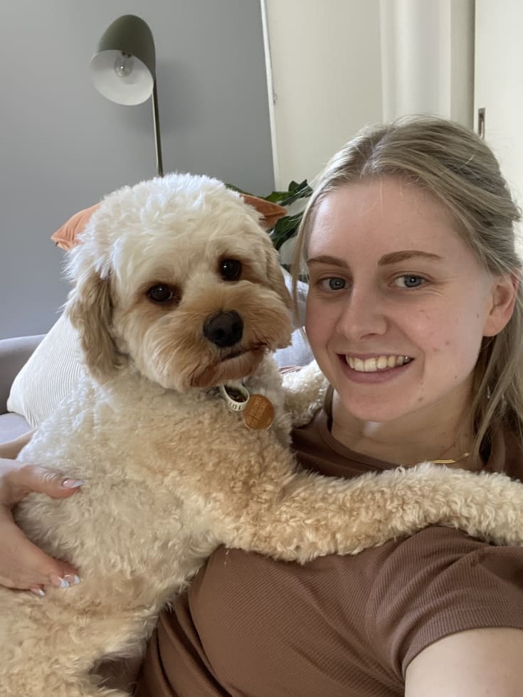 Photo in Sitter's gallery