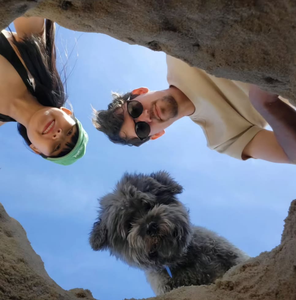 Photo in Sitter's gallery