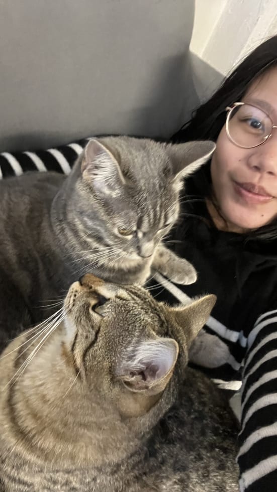 Photo in Sitter's gallery