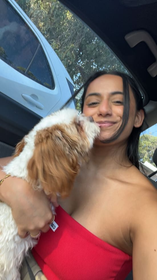 Photo in Sitter's gallery