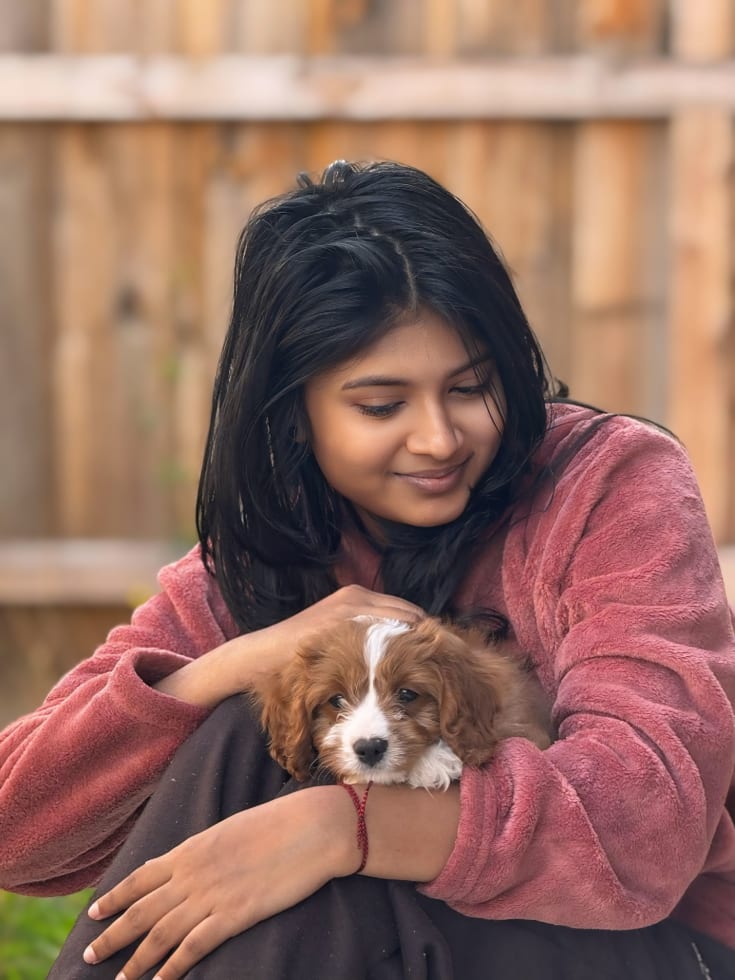 Photo in Sitter's gallery