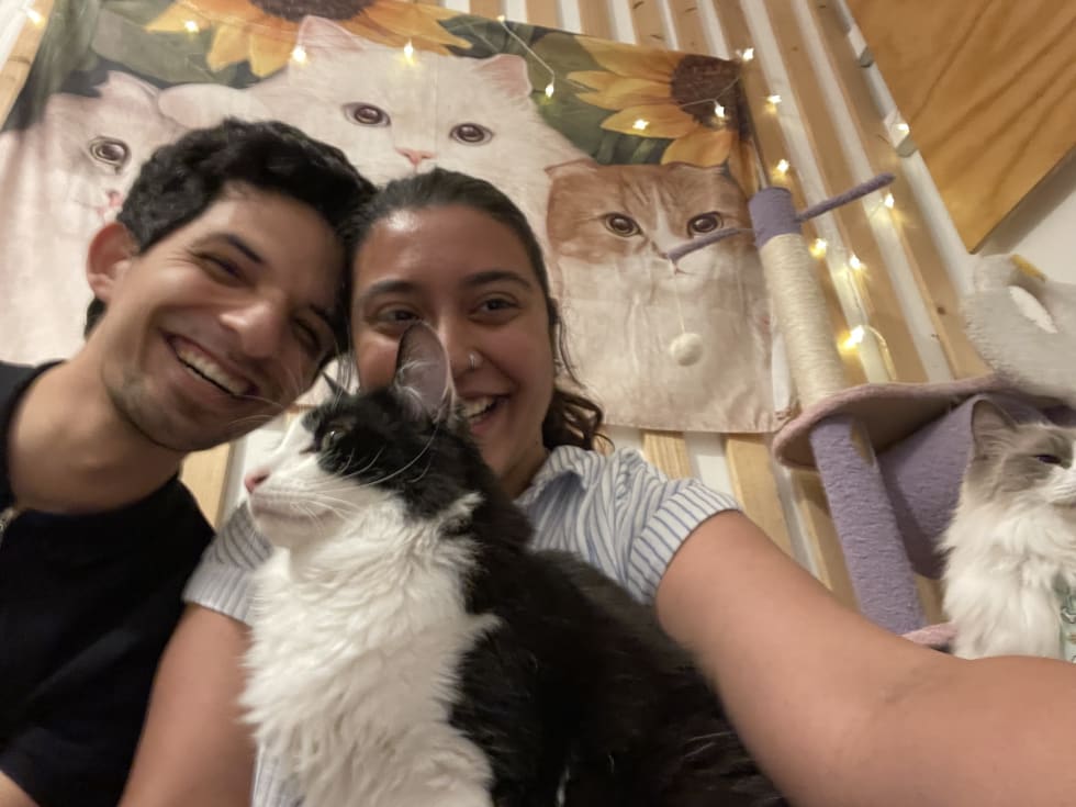 Photo in Sitter's gallery