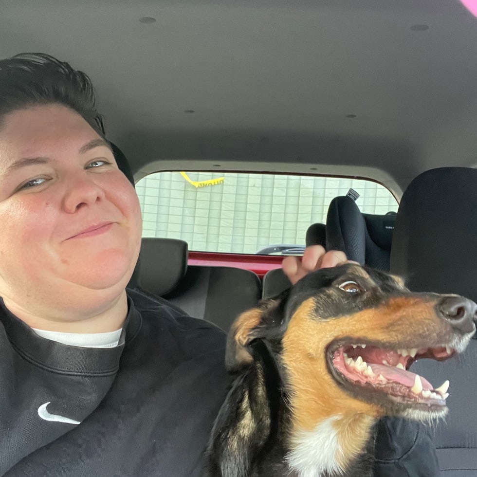 Photo in Sitter's gallery