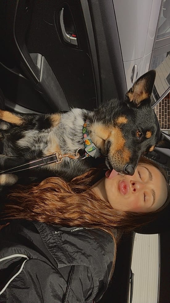 Photo in Sitter's gallery