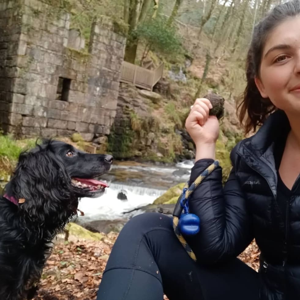 Photo in Sitter's gallery