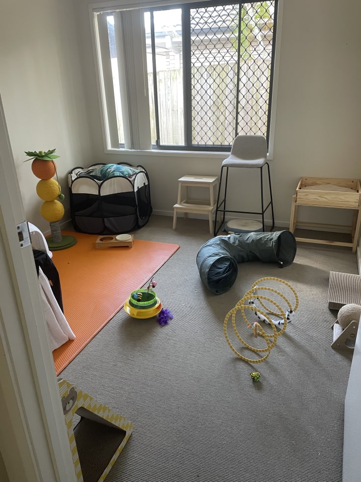 Photo in Sitter's gallery