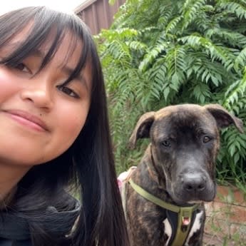 Photo in Sitter's gallery