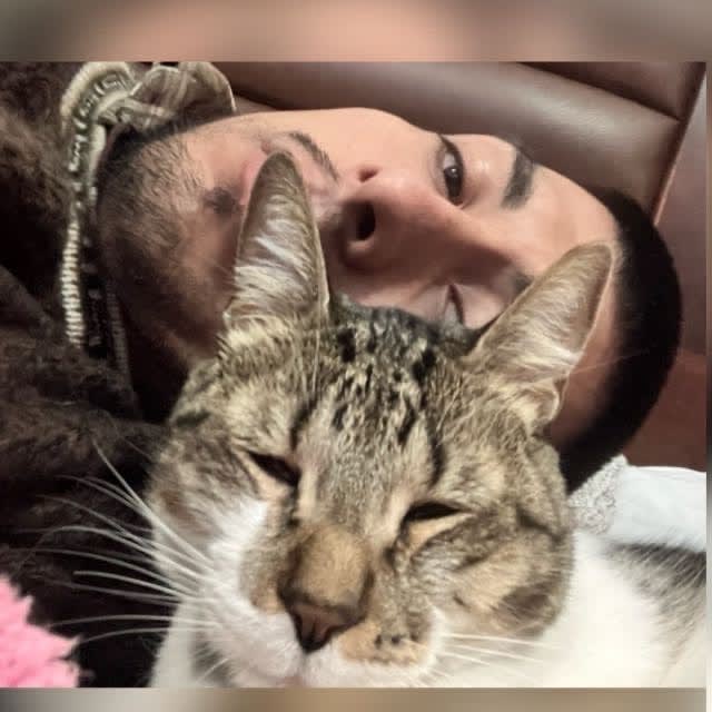 Photo in Sitter's gallery