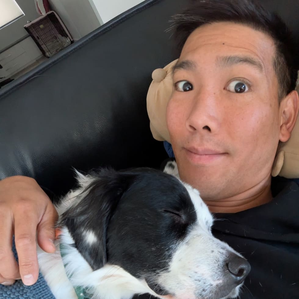 Photo in Sitter's gallery