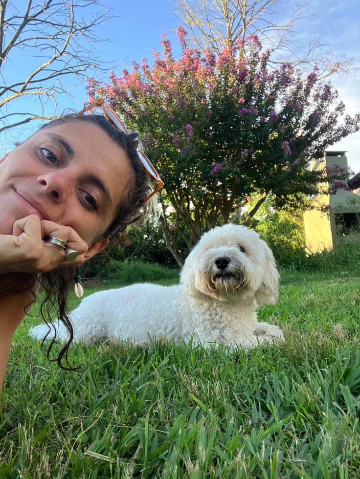 Photo in Sitter's gallery