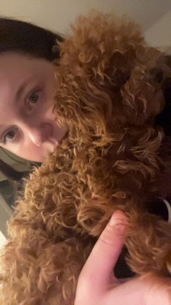 Photo in Sitter's gallery