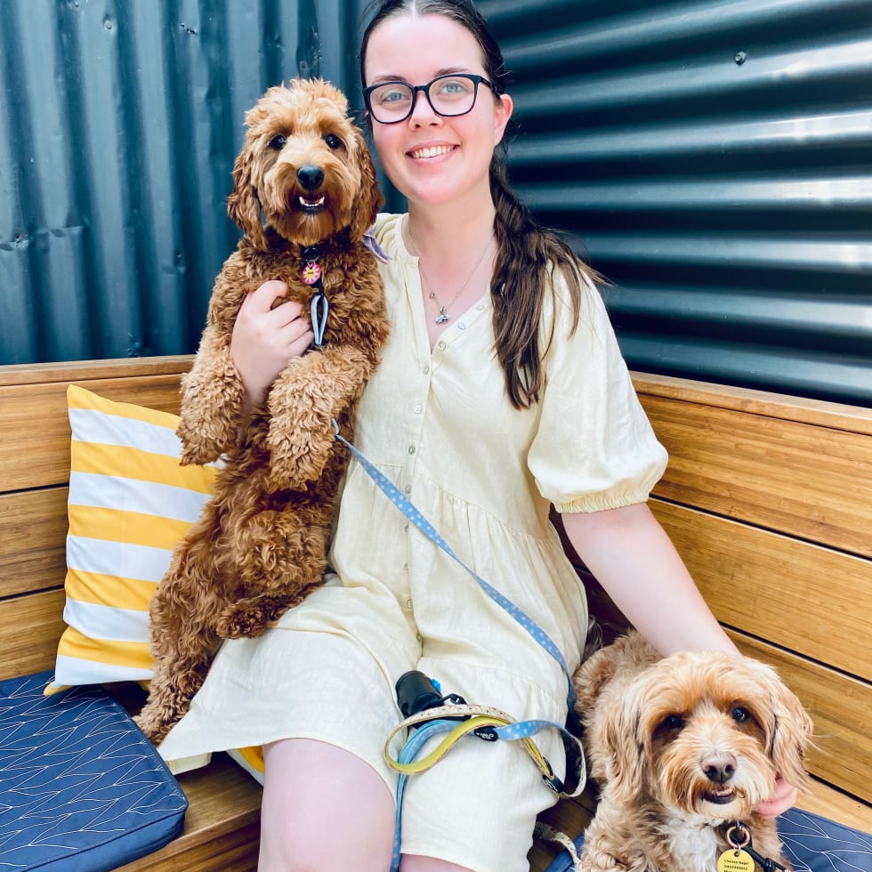 Photo in Sitter's gallery