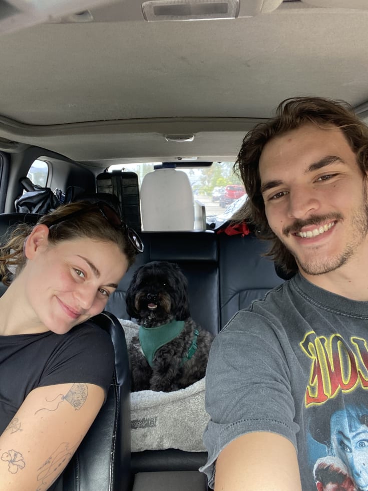 Photo in Sitter's gallery