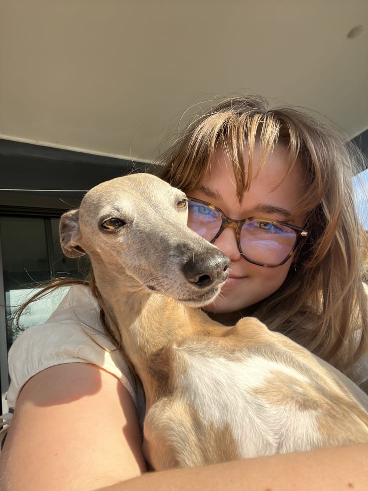 Photo in Sitter's gallery