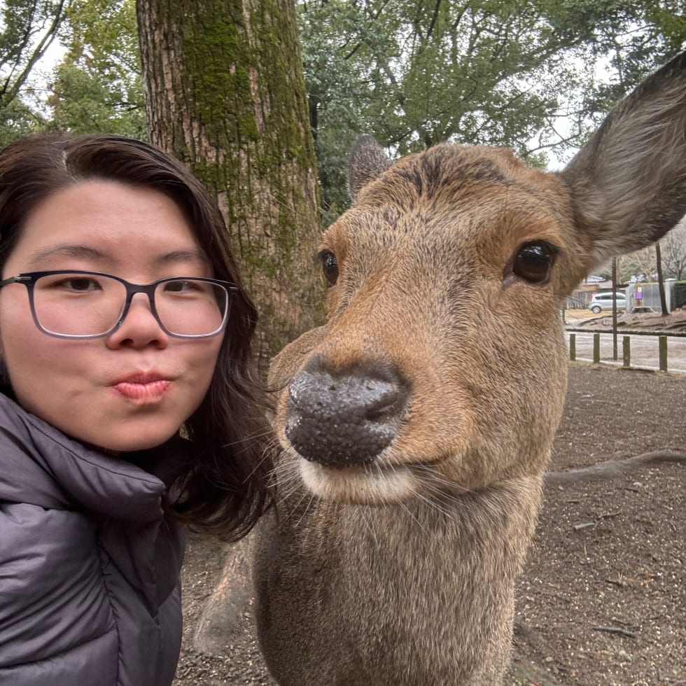 Photo in Sitter's gallery