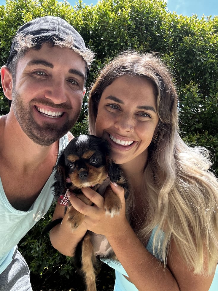 Photo in Sitter's gallery