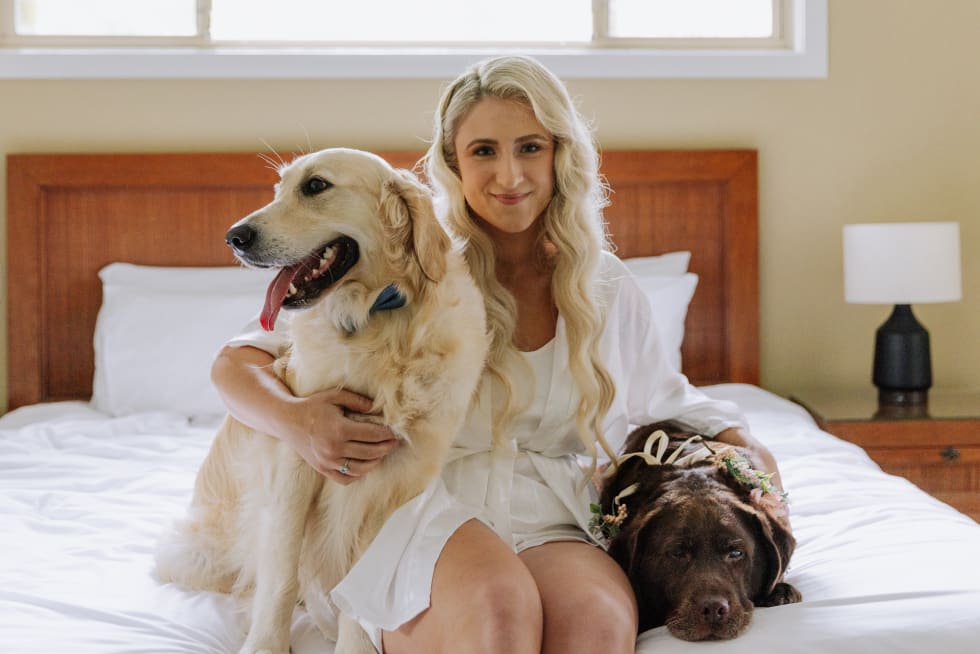 Photo in Sitter's gallery