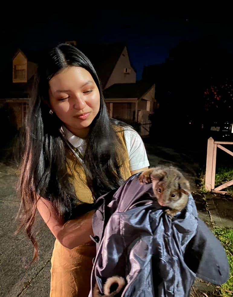 Photo in Sitter's gallery