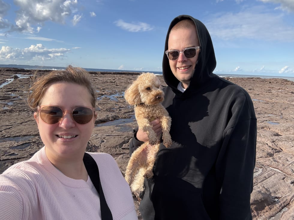 Photo in Sitter's gallery