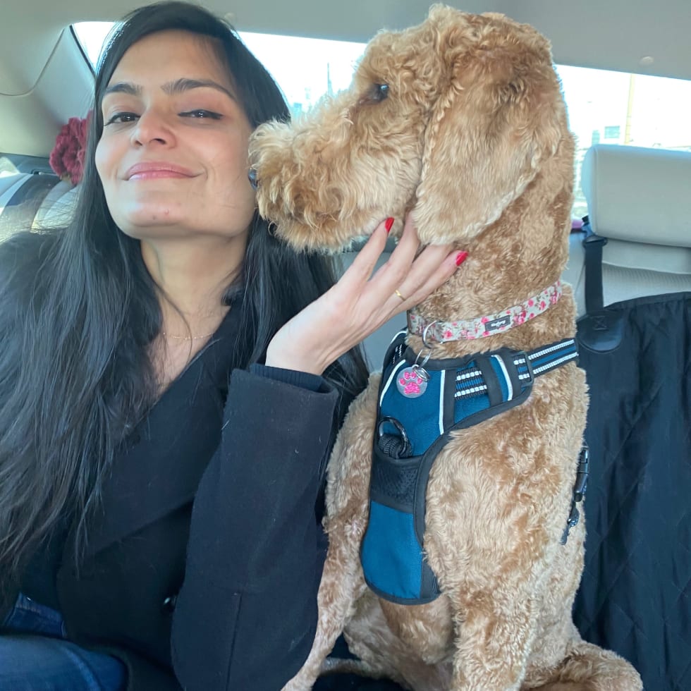 Photo in Sitter's gallery