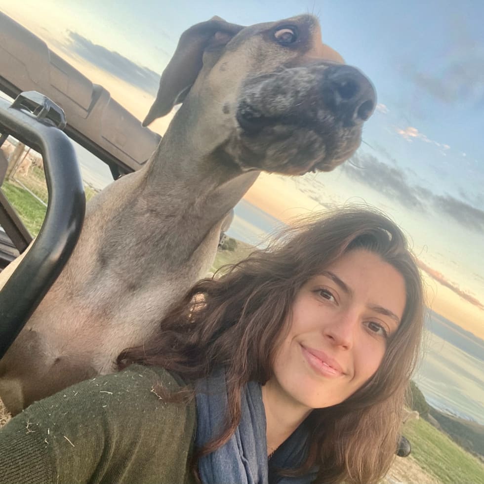 Photo in Sitter's gallery