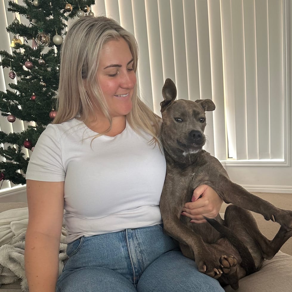 Photo in Sitter's gallery