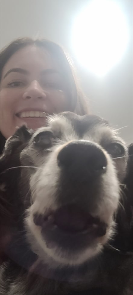 Photo in Sitter's gallery