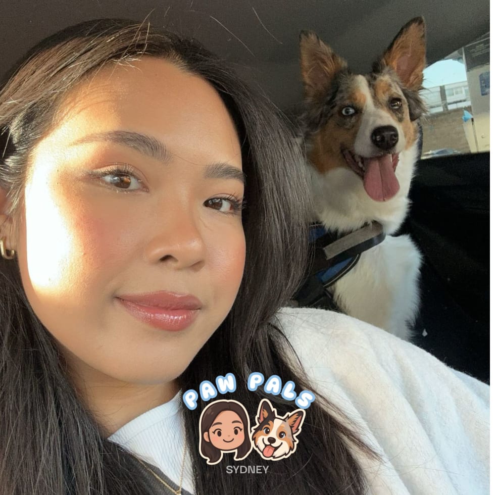 Photo in Sitter's gallery