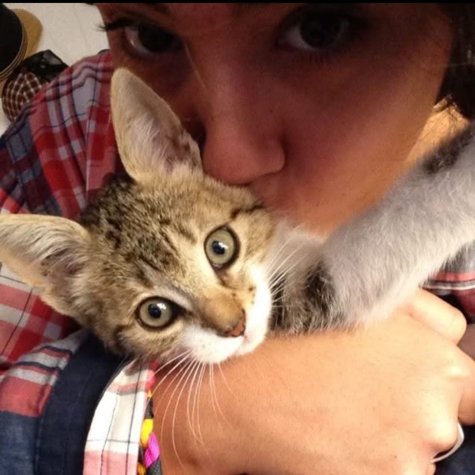 Photo in Sitter's gallery