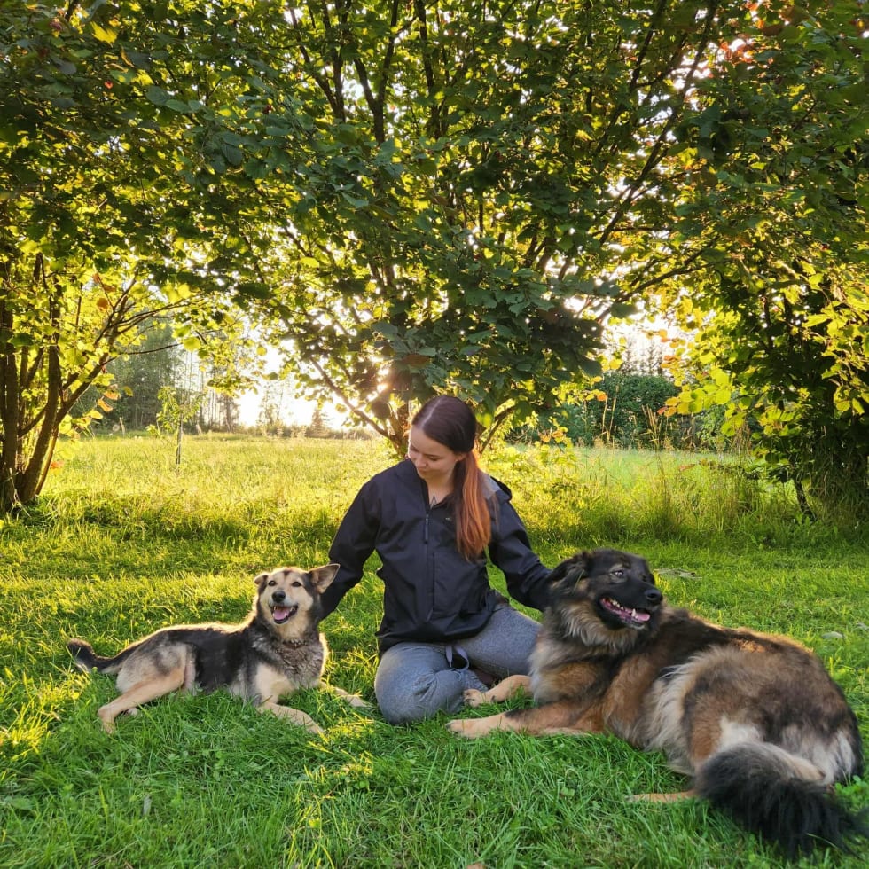 Photo in Sitter's gallery