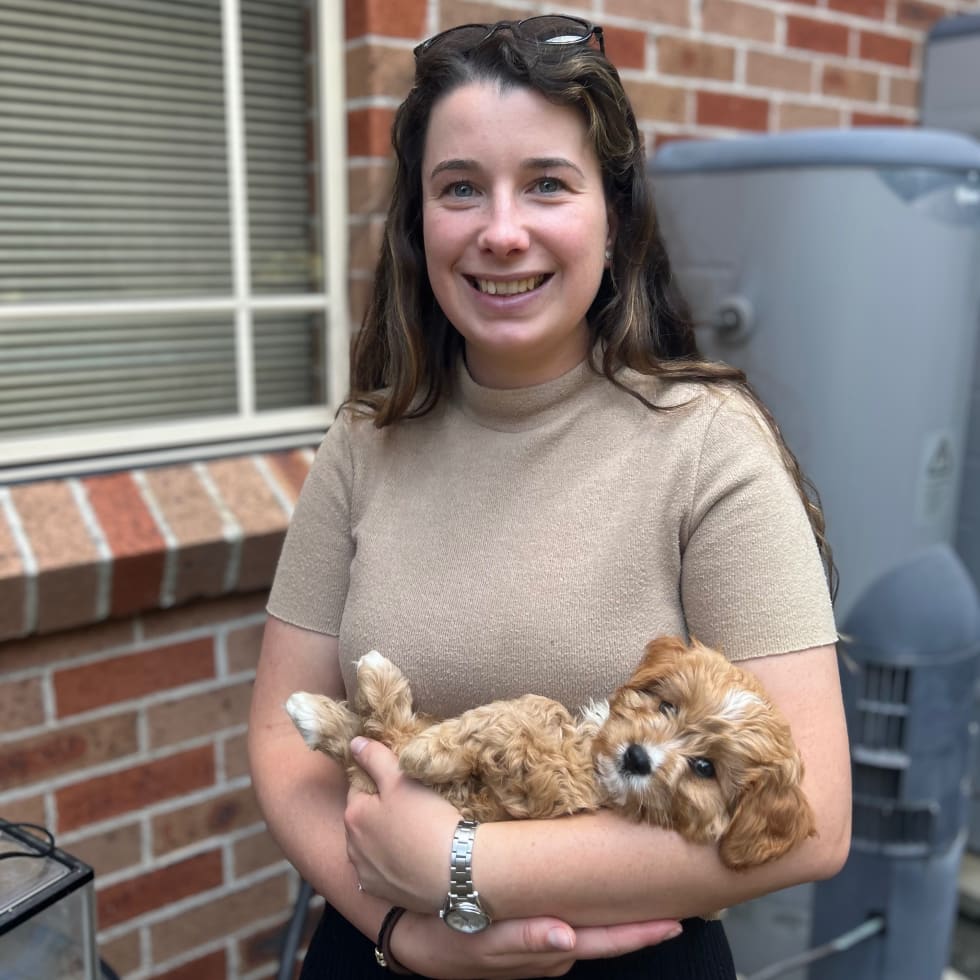 Photo in Sitter's gallery