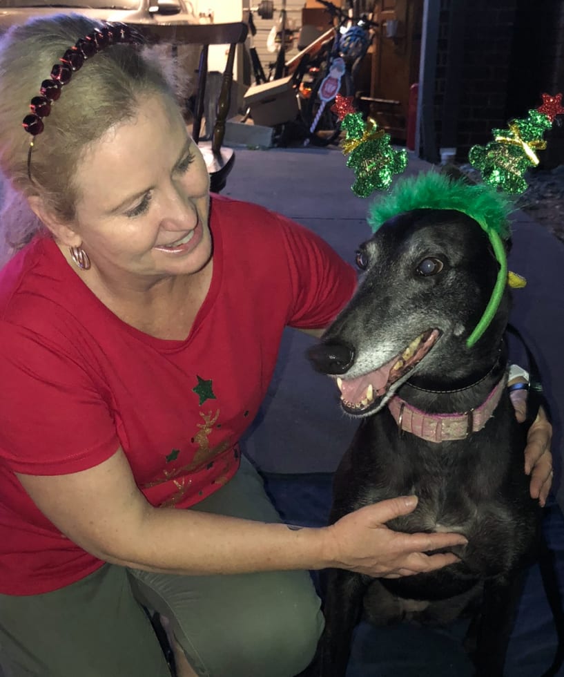 Photo in Sitter's gallery