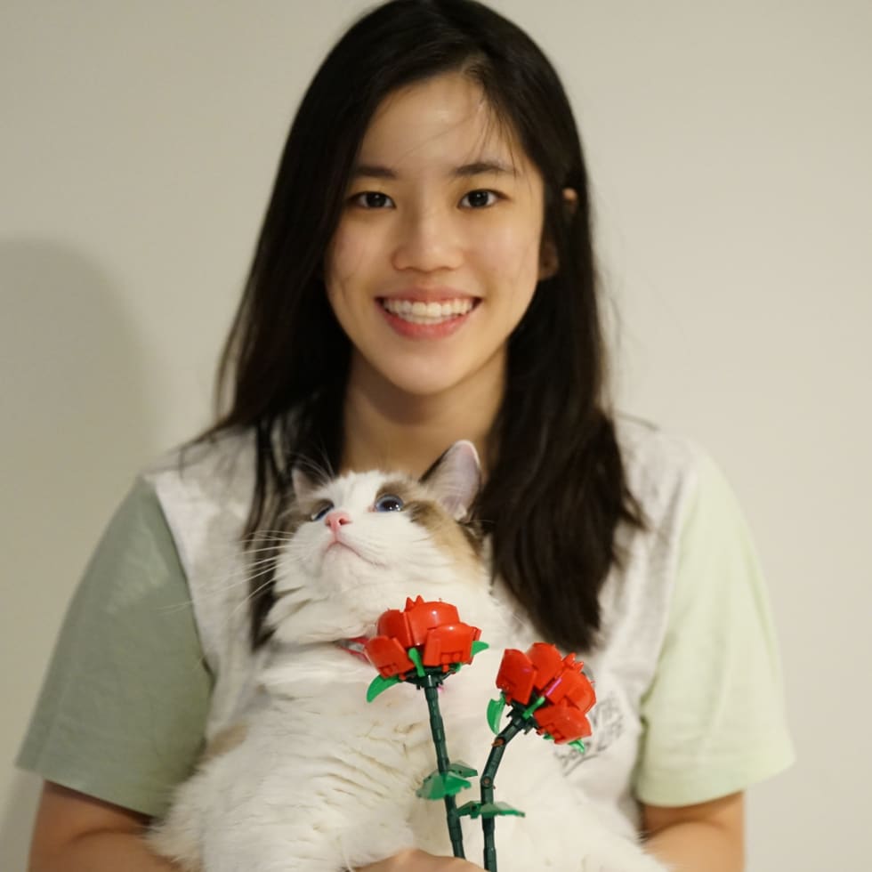 Photo in Sitter's gallery