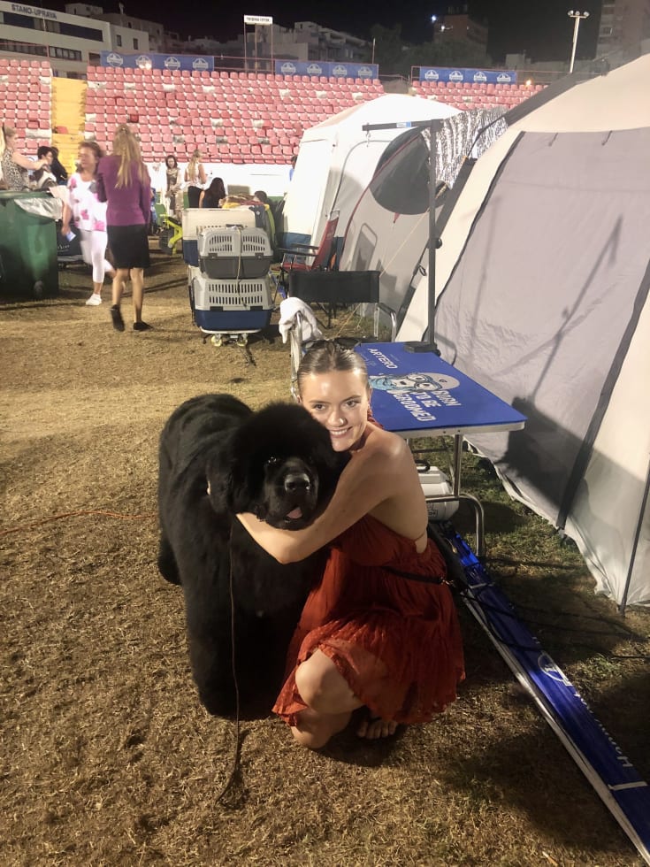 Photo in Sitter's gallery