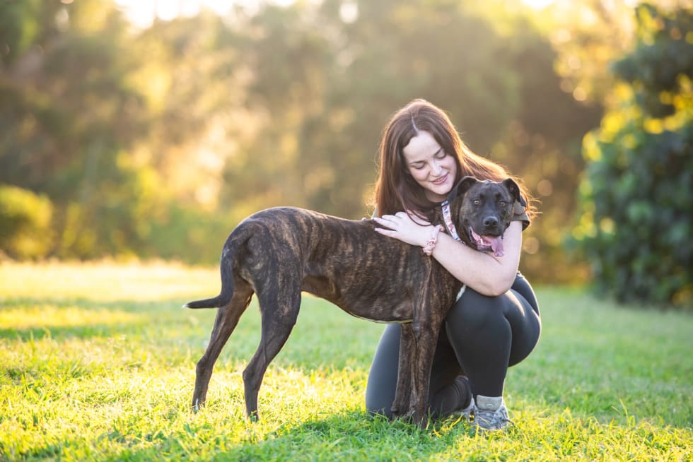 Photo in Sitter's gallery