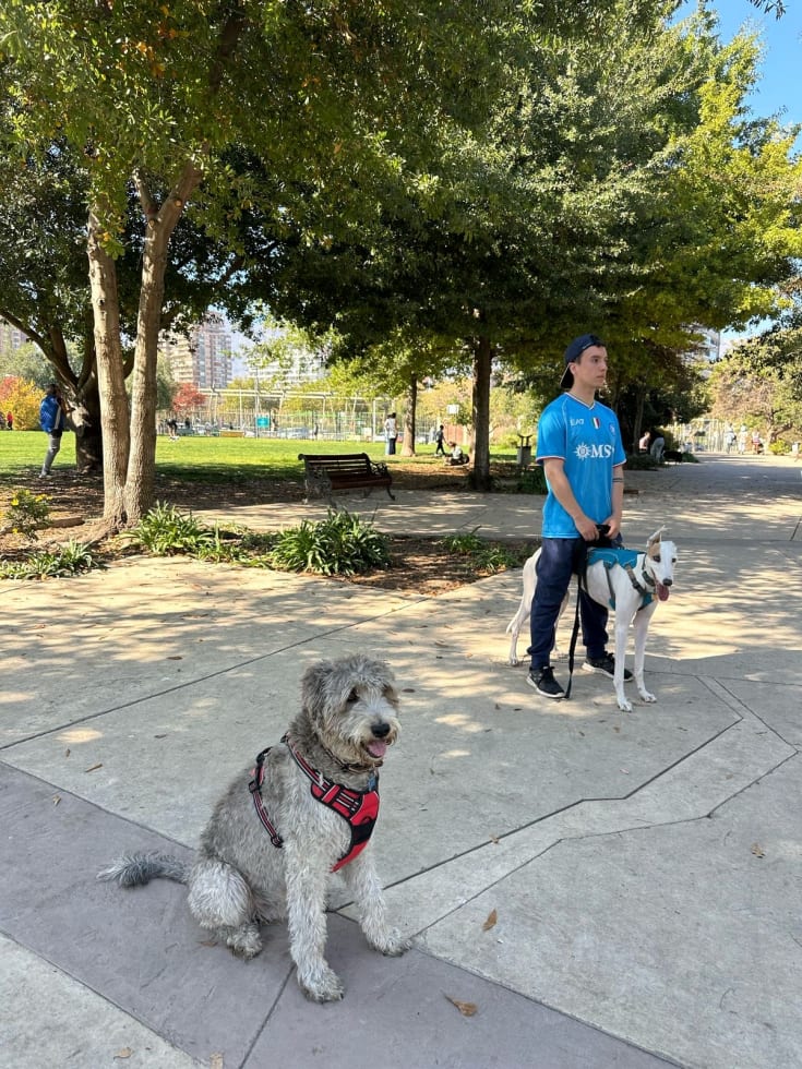 Photo in Sitter's gallery